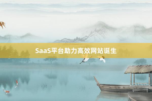 SaaS平台助力高效网站诞生